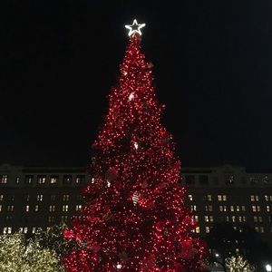 Meet your Posher, Jacky